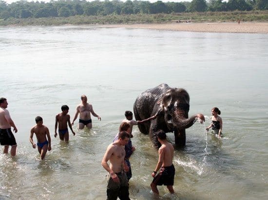 elephant bathing tour